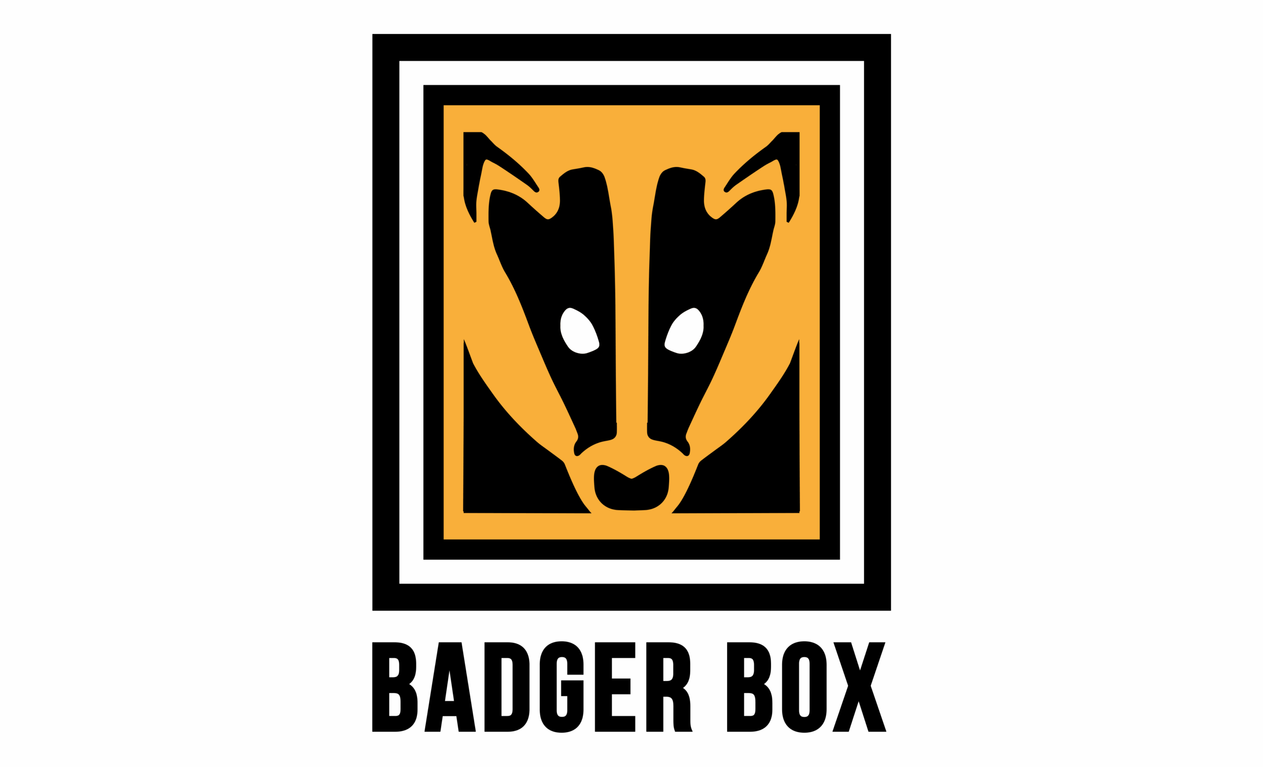 Badger Box Storage
